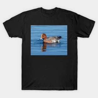 Widgeon duck in the UK T-Shirt